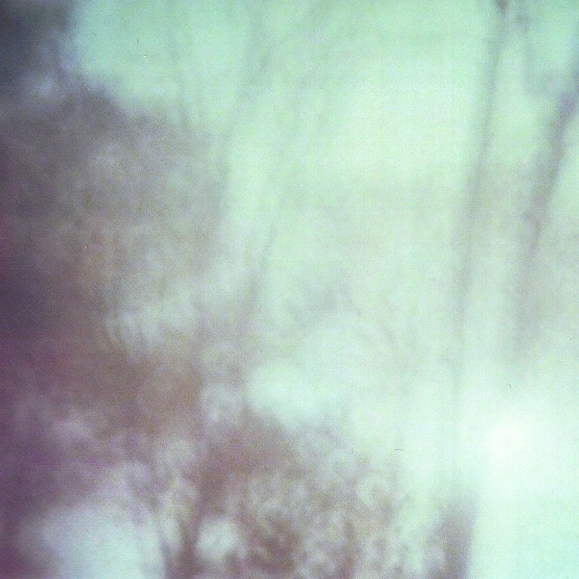 Coppice Halifax - Ovals Iii